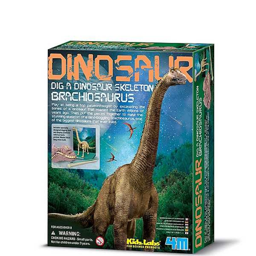 Educativos 4M Arqueolog A Y Paleontolog A | Kidzlabs Paleontolog A Esqueleto Brachiosaurus