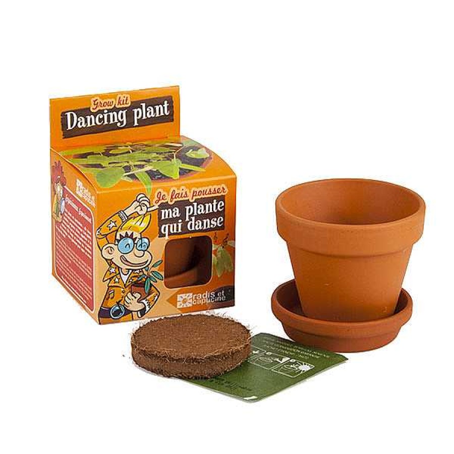 Exterior RADIS ET CAPUCINE Jardiner A | Kit De Cultivo Planta Bailarina