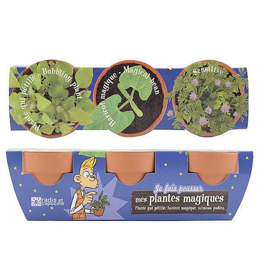 Exterior RADIS ET CAPUCINE Jardiner A | Kit De Cultivo 3 Plantas M Gicas