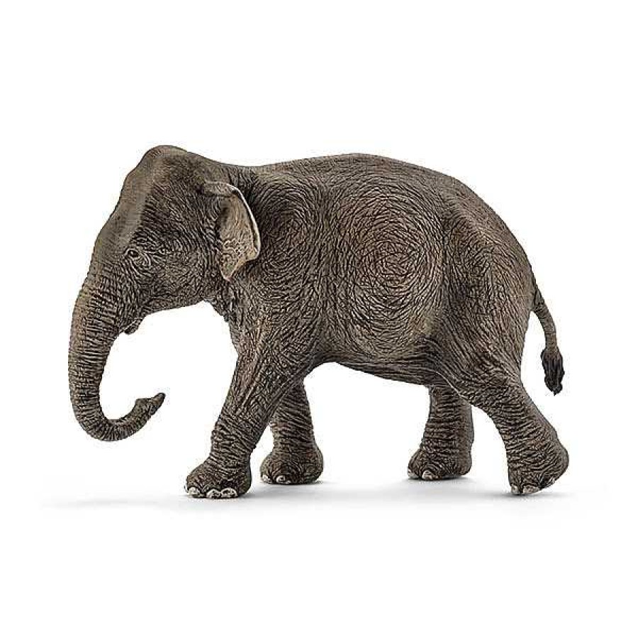 Simb Lico SCHLEICH Animales Schleich | Elefante Asi Tico Hembra