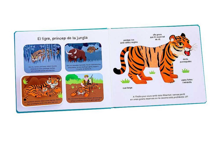 Libros COMBEL EDITORIAL Catal | Animals Que Cal Protegir