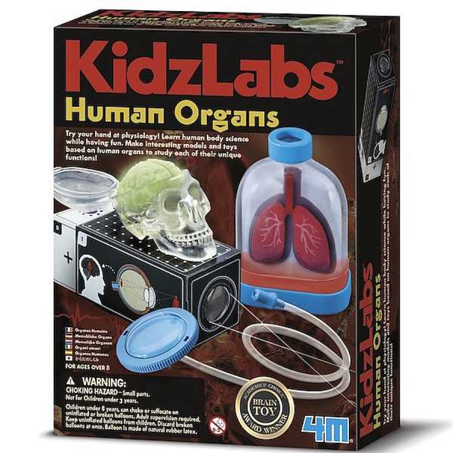 Educativos 4M Anatomia | Kidz Labs Rganos Humanos