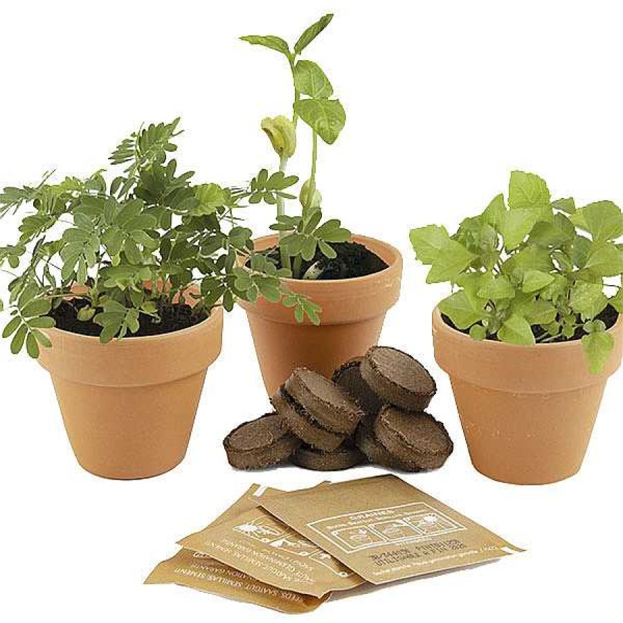 Exterior RADIS ET CAPUCINE Jardiner A | Kit De Cultivo 3 Plantas M Gicas